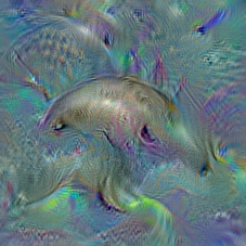 n02071294